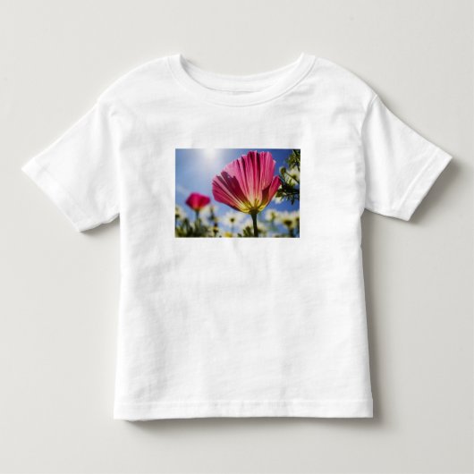 VS, Oregon, Willamette-vallei, Close-up van Kinder Shirts (Voorkant)