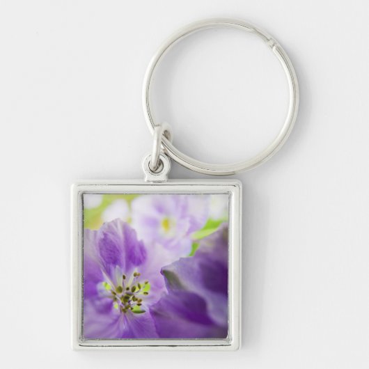 VS, Oregon, Willamette-vallei, Larkspur Close Sleutelhanger (Voorkant)
