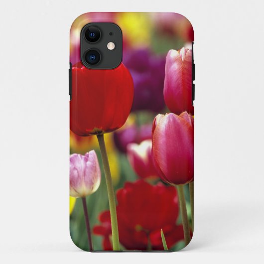 VS, Oregon, Willamette-vallei. Mooi Case-Mate iPhone Case (Achterkant)