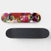 VS, Oregon, Willamette-vallei. Mooi Skateboard (Horizontaal)