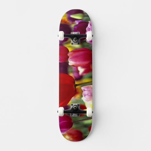 VS, Oregon, Willamette-vallei. Mooi Skateboard (Voorkant)