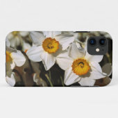 VS, Oregon, Willamette-vallei. Narcissen Case-Mate iPhone Case (Achterkant (horizontaal))