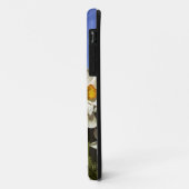 VS, Oregon, Willamette-vallei. Narcissen groeien Case-Mate iPhone Case (Achterkant/links)
