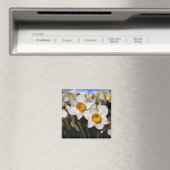 VS, Oregon, Willamette-vallei. Narcissen Magneet (Insitu (Vaatwasser))