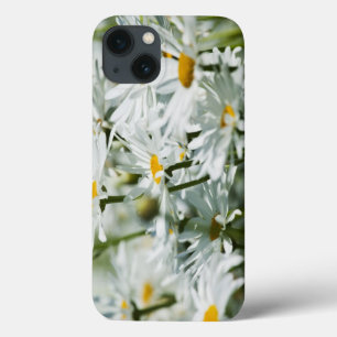 VS, Oregon, Willamette-vallei, Selectief iPhone 13 Hoesje