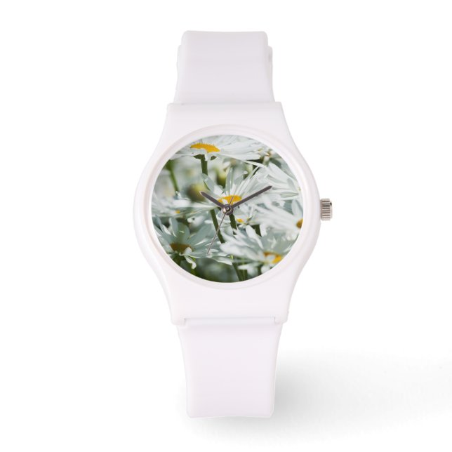 VS, Oregon, Willamette-vallei, Selectief Horloge (Voorkant)