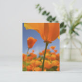 VS, Oregon, Willamette Valley, Close-up van Briefkaart (Staand voorkant)
