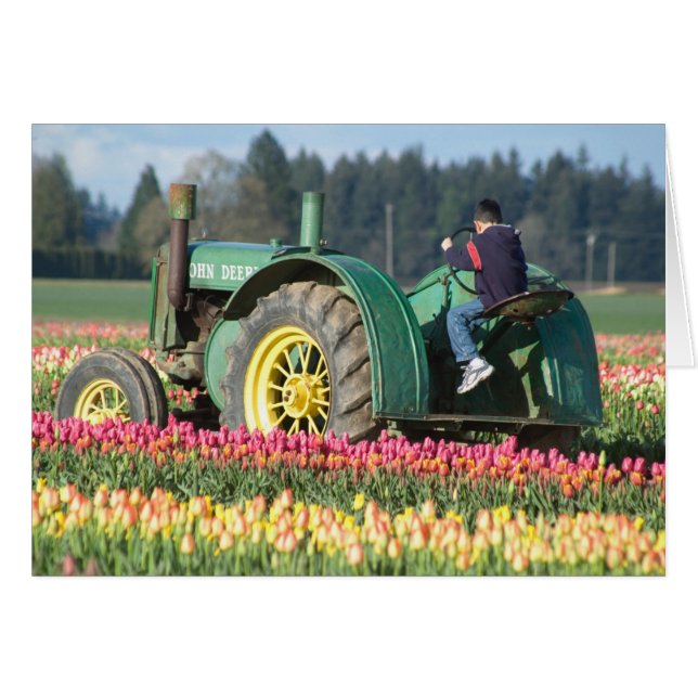 VS, Oregon, Woodburn, Houten Schoen Tulp (Voorkant Horizontaal)