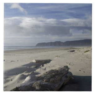 VS, Oregon, Zandduinen en Oceaan, Pacific City Tegeltje