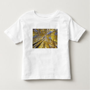 VS, Pacific Northwest. Aspen bomen in het najaar Kinder Shirts