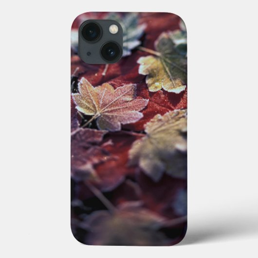 VS, Pacific Northwest. Japanse esdoornbladeren Case-Mate iPhone Case (Achterkant)