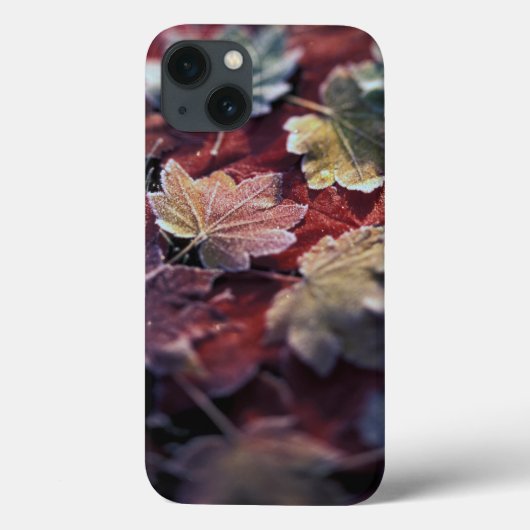 VS, Pacific Northwest. Japanse esdoornbladeren Case-Mate iPhone Case (Achterkant)