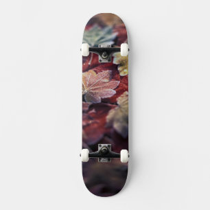VS, Pacific Northwest. Japanse esdoornbladeren Skateboard