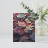 VS, Pacific Northwest. Japanse mapel leaves Briefkaart (Staand voorkant)