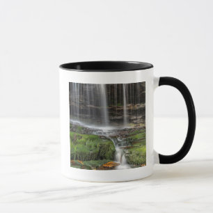 VS, Pennsylvania, Benton. Delicate Waterval Mok