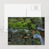 VS, Pennsylvania, Benton, Ricketts Glen State Briefkaart (Voorkant / Achterkant)