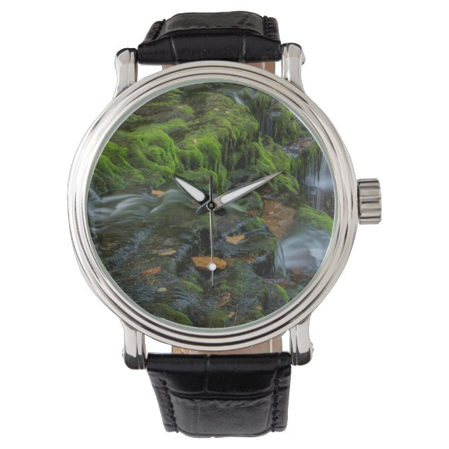 VS, Pennsylvania, Benton, Ricketts Glen State Horloge (Voorkant)