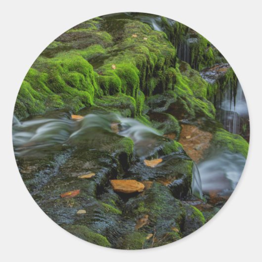 VS, Pennsylvania, Benton, Ricketts Glen State Ronde Sticker (Voorkant)