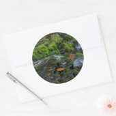 VS, Pennsylvania, Benton, Ricketts Glen State Ronde Sticker (Envelop)