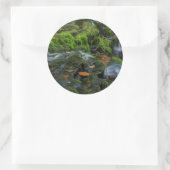 VS, Pennsylvania, Benton, Ricketts Glen State Ronde Sticker (Tas)