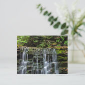 VS, Pennsylvania, Benton. Waterval in Ricketts Briefkaart (Staand voorkant)