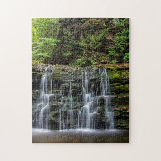 VS, Pennsylvania, Benton. Waterval in Ricketts Legpuzzel (Verticaal)