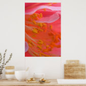 VS, Pennsylvania. Camellia bloem close-up Poster (Keuken)