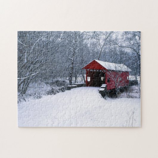 VS, Pennsylvania, Mariana County Legpuzzel (Horizontaal)