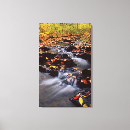 VS, Pennsylvania, Pocono Mountains 2 Canvas Afdruk (Voorkant)