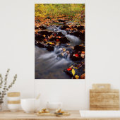 VS, Pennsylvania, Pocono Mountains 2 Poster (Keuken)