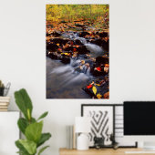 VS, Pennsylvania, Pocono Mountains 2 Poster (Thuiskantoor)