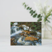 VS, Pennsylvania, Ricketts Glen State Park Briefkaart (Staand voorkant)