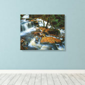 VS, Pennsylvania, Ricketts Glen State Park Canvas Afdruk (Insitu (Houten vloer))