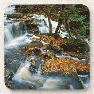VS, Pennsylvania, Ricketts Glen State Park Drankjes Onderzetter