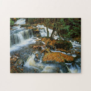 VS, Pennsylvania, Ricketts Glen State Park Legpuzzel