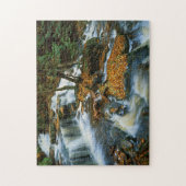 VS, Pennsylvania, Ricketts Glen State Park Legpuzzel (Verticaal)