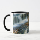 VS, Pennsylvania, Ricketts Glen State Park Mok (Links)