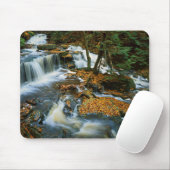 VS, Pennsylvania, Ricketts Glen State Park Muismat (Met muis)