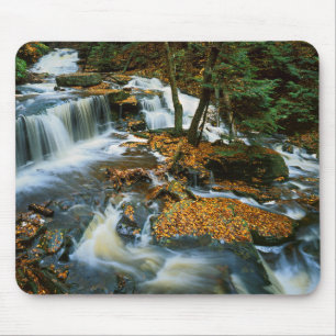 VS, Pennsylvania, Ricketts Glen State Park Muismat
