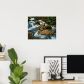 VS, Pennsylvania, Ricketts Glen State Park Poster (Thuiskantoor)