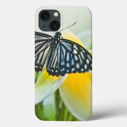 VS, Pennsylvania. Staartvlinder Case-Mate iPhone Case (Achterkant)