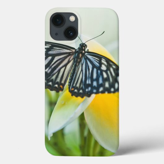 VS, Pennsylvania. Staartvlinder Case-Mate iPhone Case (Achterkant)