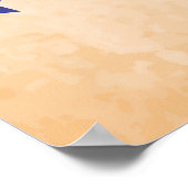 VS POSTER (Hoek)