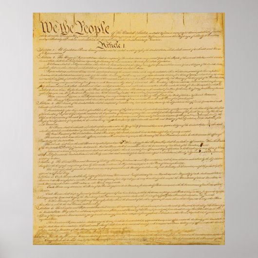 VS-Poster voor de grondwet Poster (Voorkant)