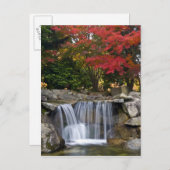 VS, Redmond, Washington. De kleur van de herfst in Briefkaart (Voorkant / Achterkant)