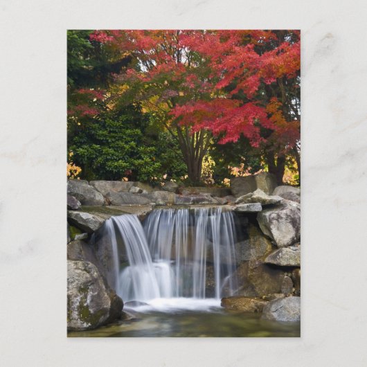 VS, Redmond, Washington. De kleur van de herfst in Briefkaart (Voorkant)