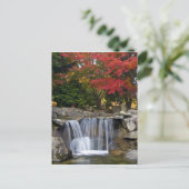 VS, Redmond, Washington. De kleur van de herfst in Briefkaart (Staand voorkant)