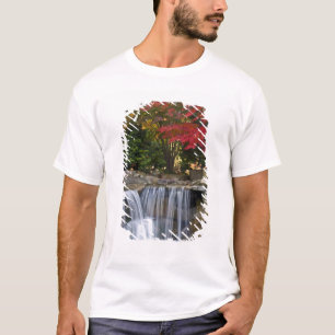 VS, Redmond, Washington. Herfstkleuren in een park T-shirt