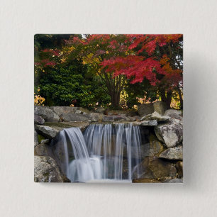 VS, Redmond, Washington. Herfstkleuren in een park Vierkante Button 5,1 Cm
