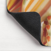 VS. Sluiting van gedroogde noedels voor regenboogp Muismat (Hoek)